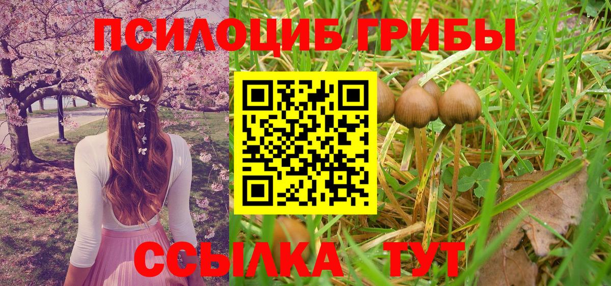 Галлюциногенные грибы ЛСД Ялта